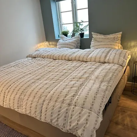 Charmerende Stue Lejlighed I Centrum Ringkøbing Extérieur photo