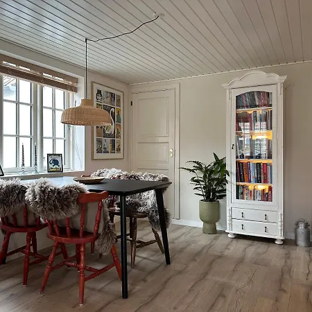 Charmerende Stue Lejlighed I Centrum Ringkøbing Extérieur photo